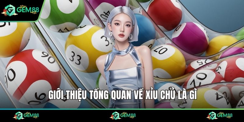 Giới thiệu tổng quan về xỉu chủ là gì