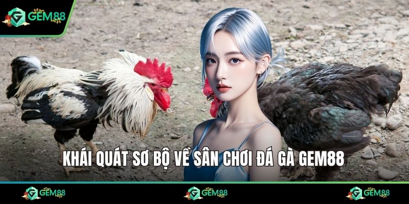 Khái quát sơ bộ về sân chơi đá gà Gem88