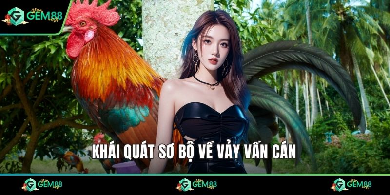 Khái quát sơ bộ về vảy vấn cán