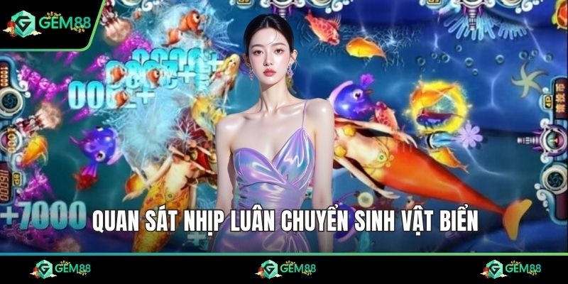 Quan sát nhịp luân chuyển sinh vật biển