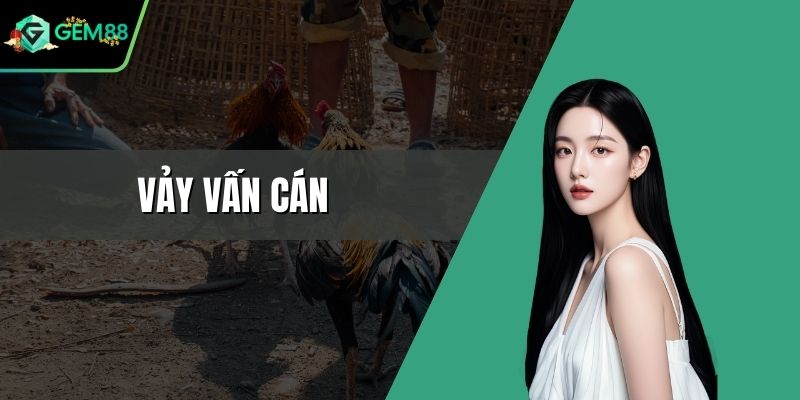 Vảy vấn cán
